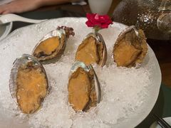 手工冰镇鲍鱼-木棉·醉心粤味(COCO Park店)