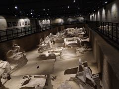 -洛阳周王城天子驾六博物馆