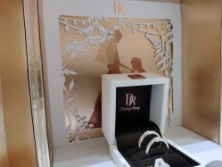 -DR钻戒(杭州星光大道店)