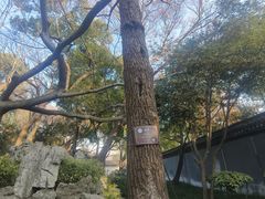 -绮园景区