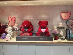 -ROSEONLY诺誓(磐基中心店)