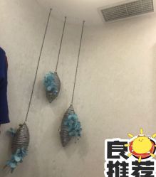 -健身堂科技美肌SPA