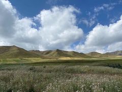 -扁都口生态休闲旅游区