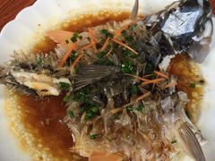 -悠悠美食