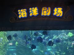 -南昌海洋公园