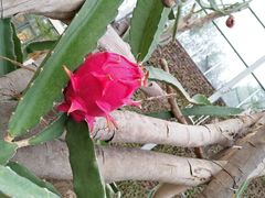 -南通洲际绿博园