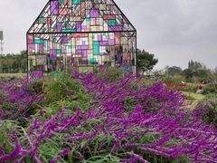 -紫颐香薰山谷景区