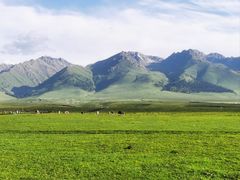 -新疆那拉提国家旅游度假区