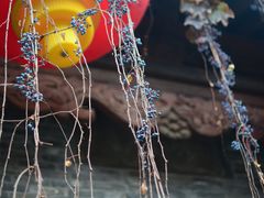 -青州古城