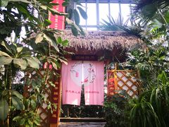 -郑州银基黄帝宫御温泉