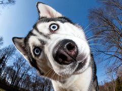 -蛙来哒(汇一城黑金冠店)