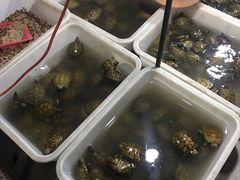 -华声天桥民俗文化园