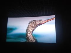 -CGV影城(黄河道ScreenX店)