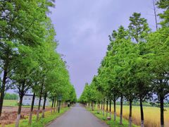 -嘉北郊野公园