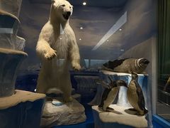 -国家自然博物馆