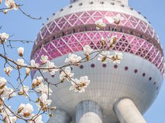-上海港国际客运中心
