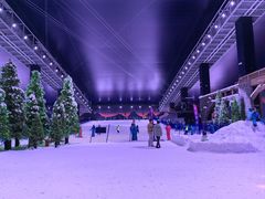 -世界之窗阿尔卑斯冰雪世界