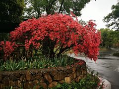 -杭州六谷生态休闲农庄有限公司