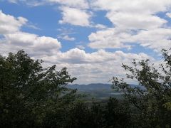 -南山植物园