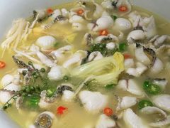 -青花椒花椒鱼(合生汇店)