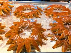太阳饼-Sunflour(来福士店)