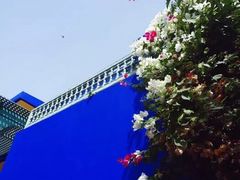 -马洛雷勒花园