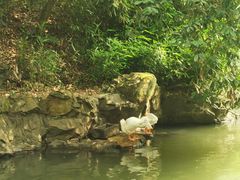 -兰亭风景区