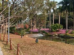 -云溪植物园