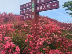 -大围山国家森林公园