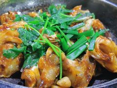 -石岐乳鸽村(南海第三分店)