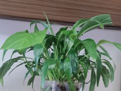 -香山湖渔家大院