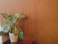 -同庆楼(金宝汇店)