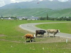 -新疆那拉提国家旅游度假区