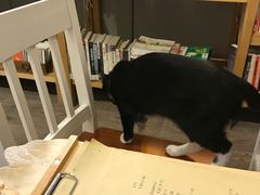 -小时光咖啡馆(开森度假森林店)