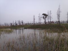 -春花秋色城市公园