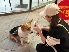 -大悦城(沈阳中街店)