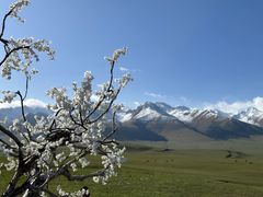 -新疆那拉提国家旅游度假区