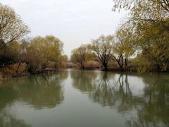 -长兴太湖图影湿地文化园