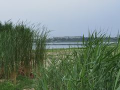 -绿堤公园