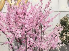 -上海辰山植物园