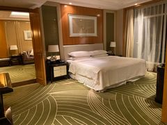 -常州武进九洲喜来登酒店