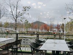 -宝荣鱼馆·临湖之宴(千岛湖店)