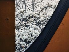 -杭州上天竺法喜讲寺