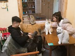 -猫色咖啡·猫咖