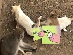 -昆明动物园