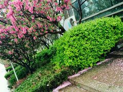 -贝尔教育(南长校区)