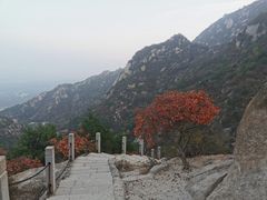 -北京凤凰岭