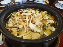 -蘑统田下·野生菌火锅