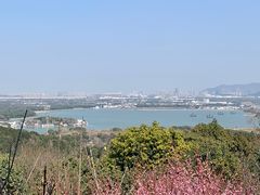 -香雪海