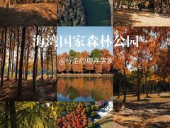 -上海海湾国家森林公园